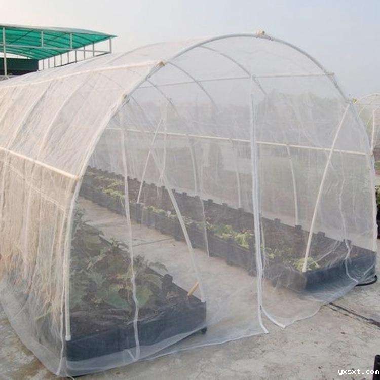 温室大棚配件中防虫网有哪些功能?