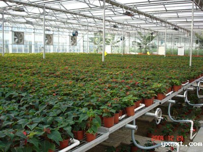 温室具备哪些育苗设备,可加快蔬菜产业现代化进程?