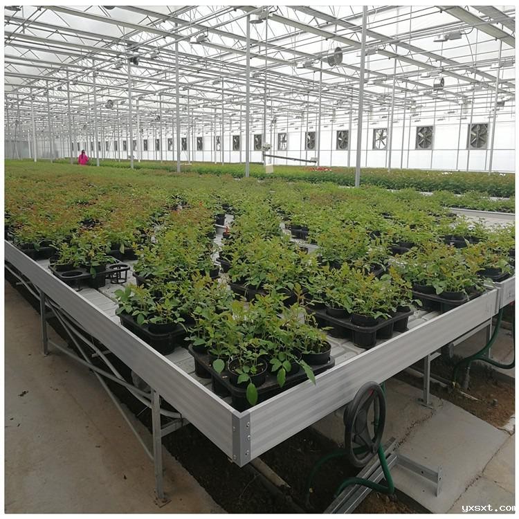 不是什么植物都适用于潮汐苗床的?
