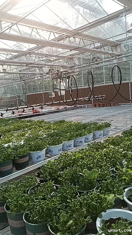 温室育苗喷灌机